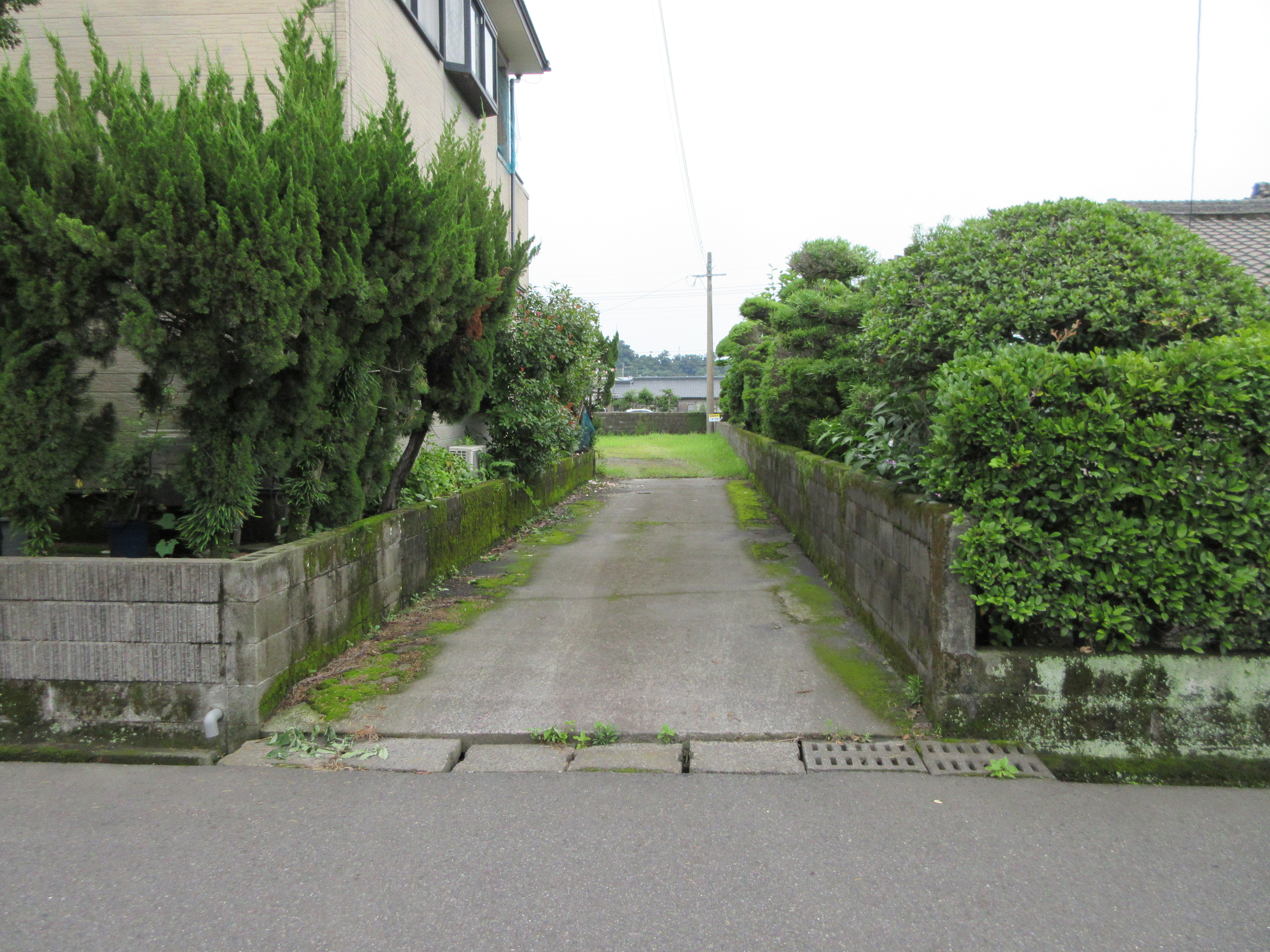  松原町50番地