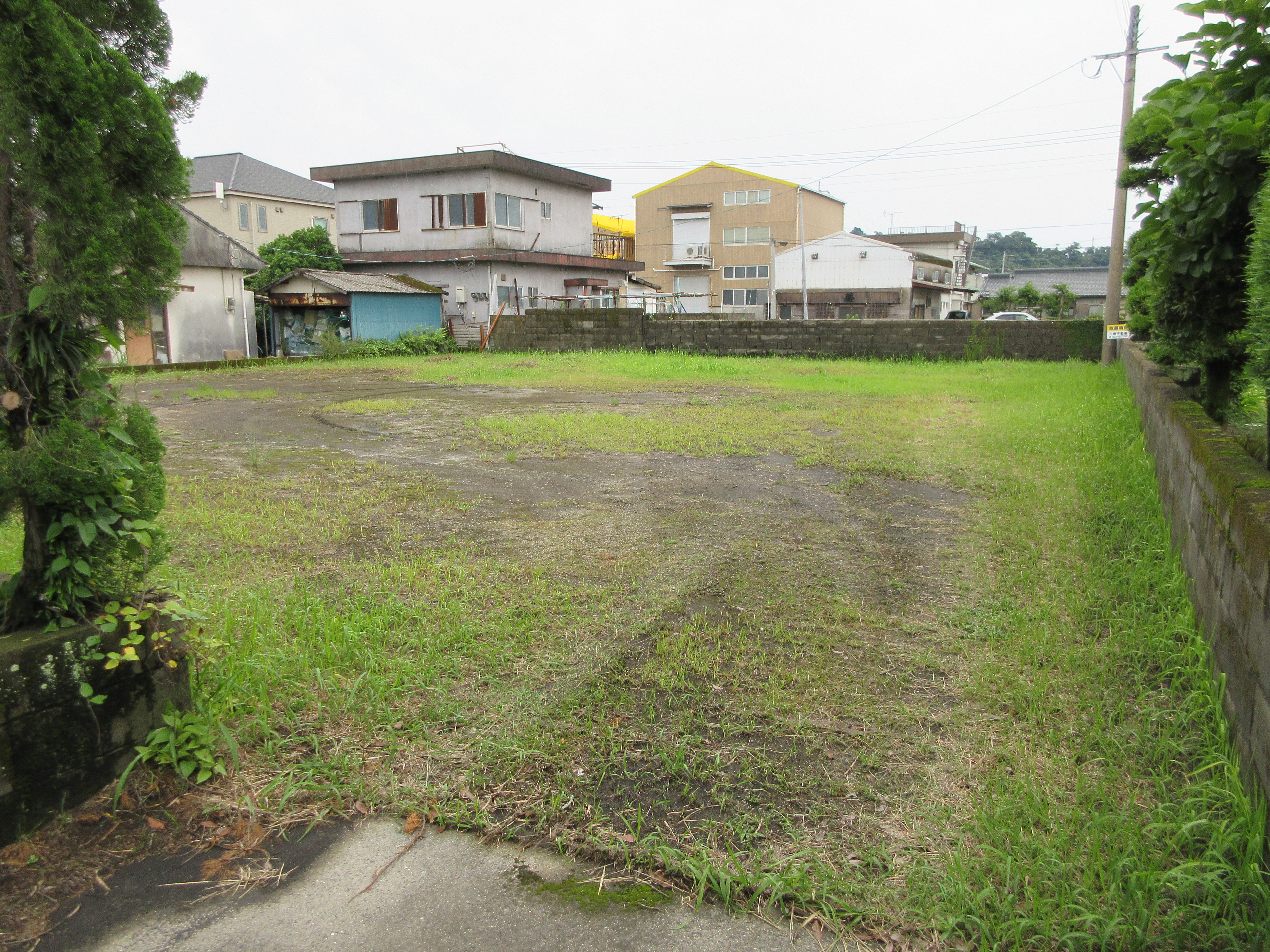  松原町50番地
