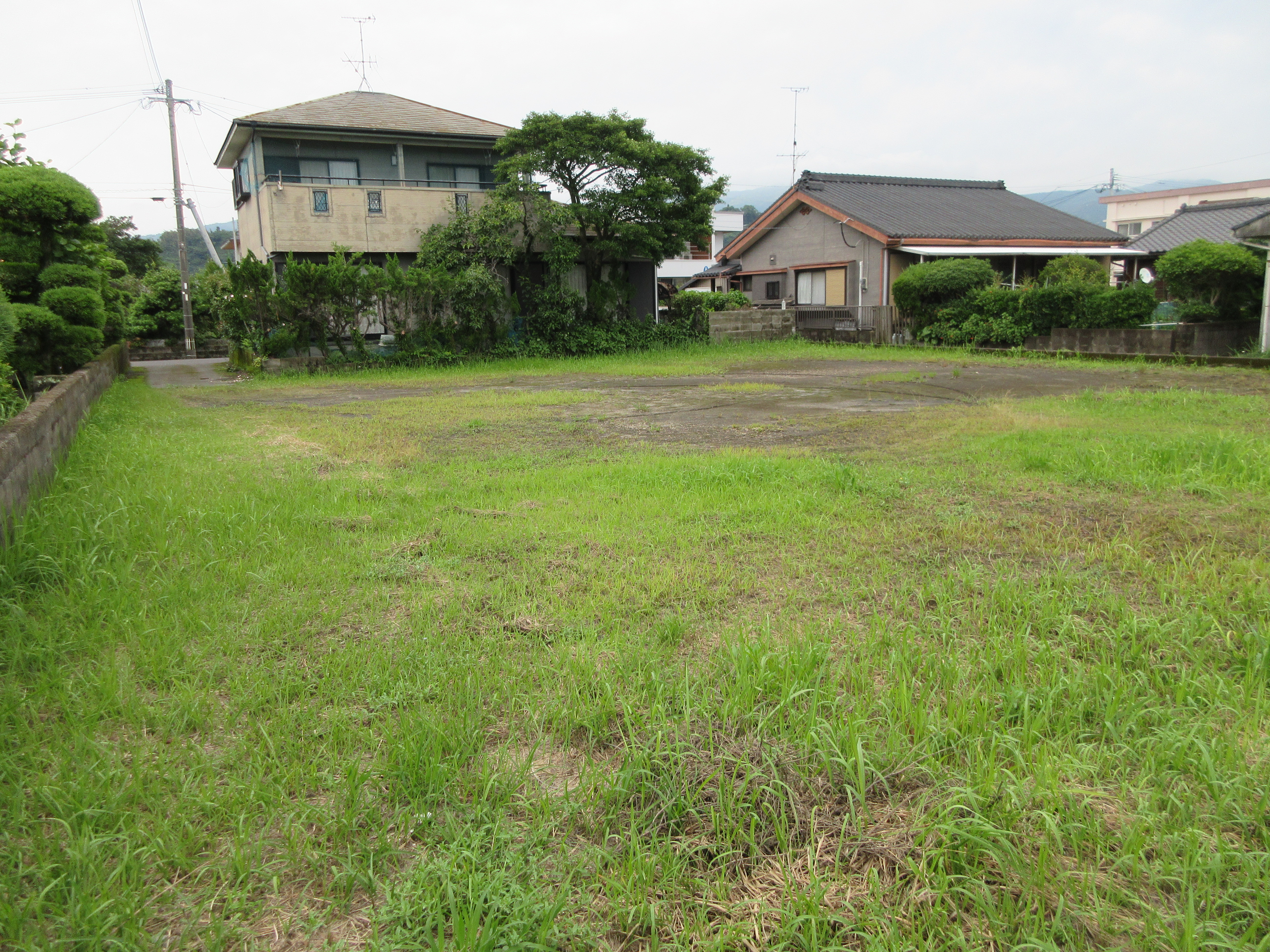  松原町50番地