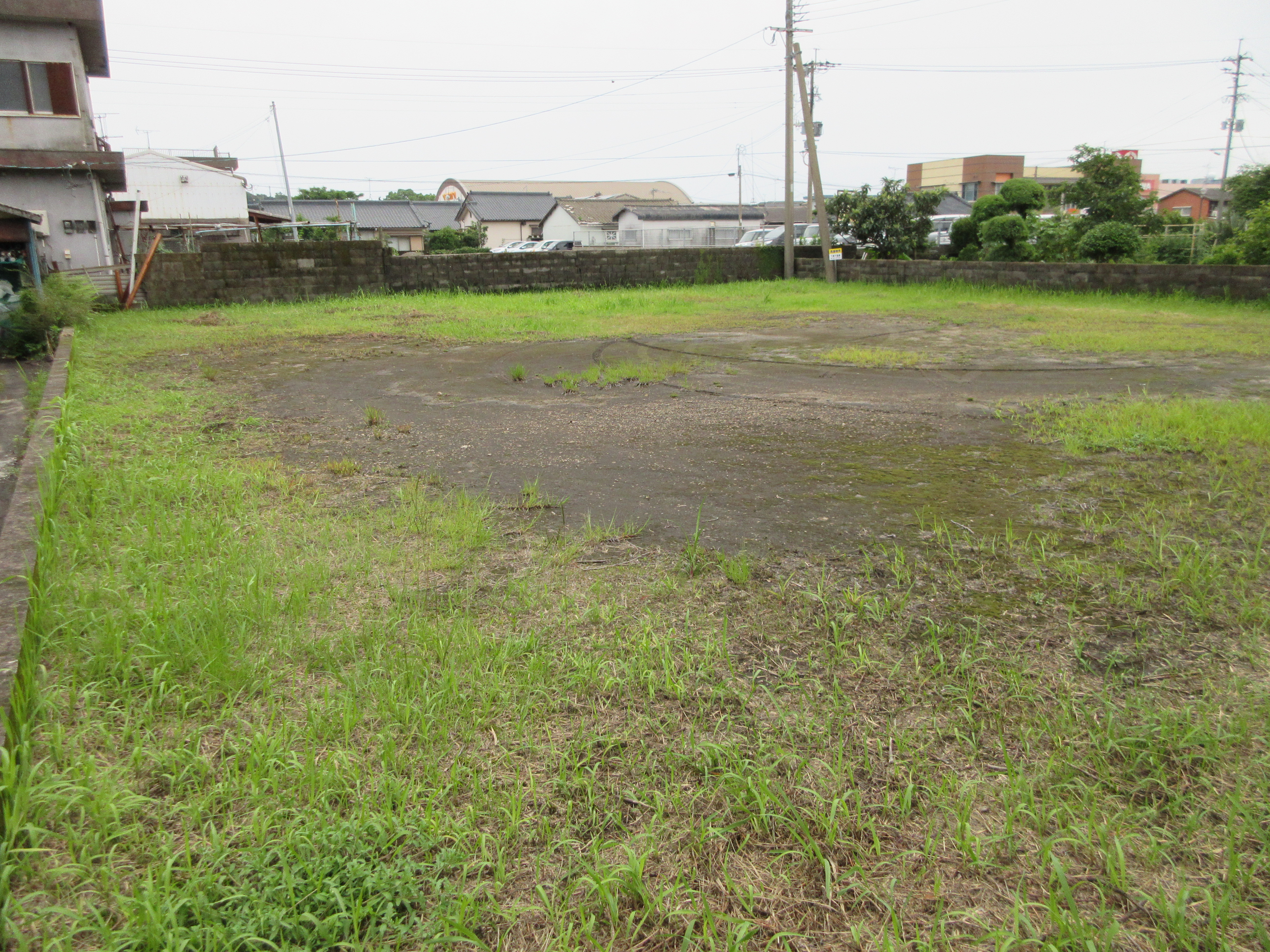  松原町50番地