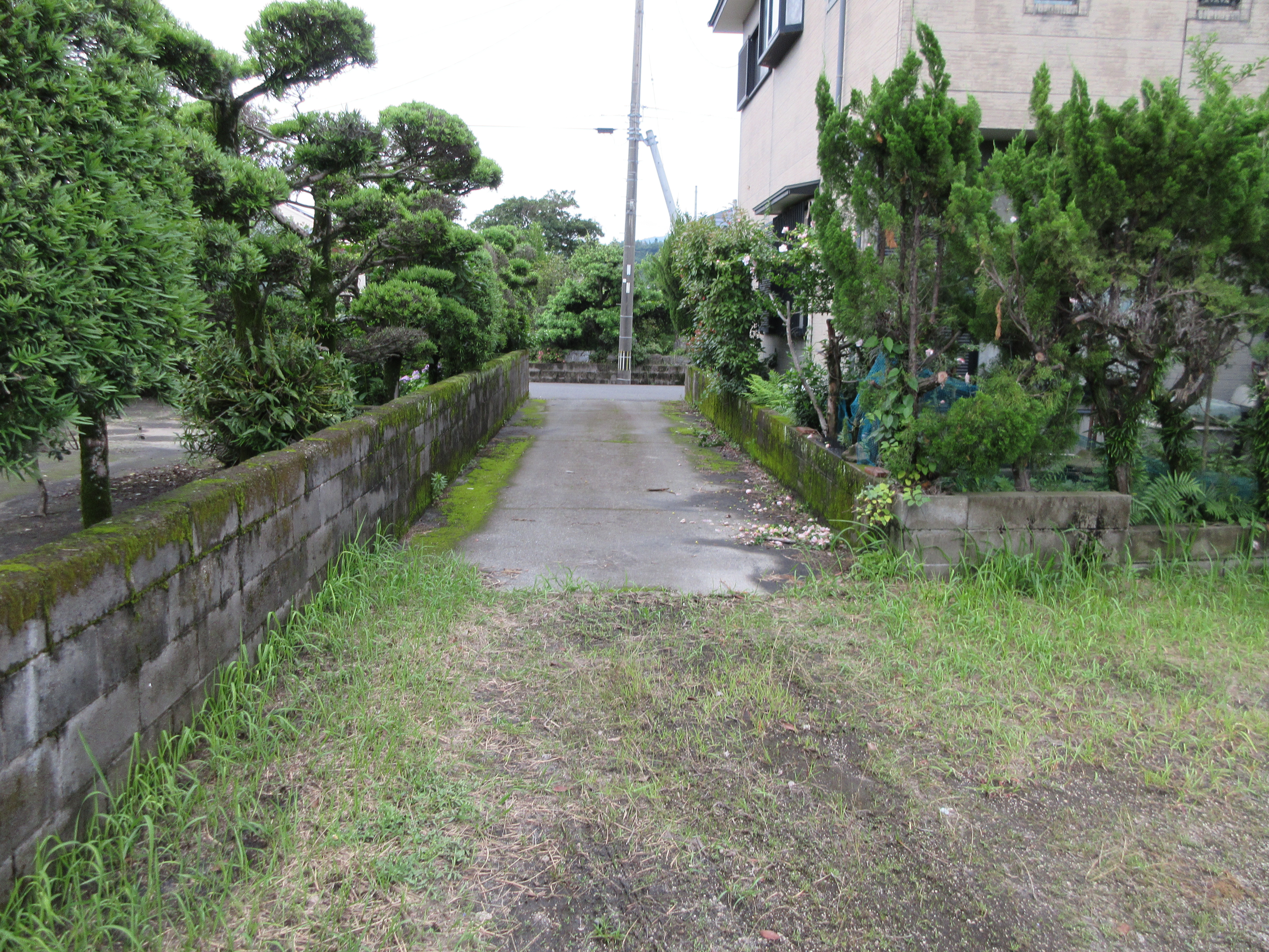  松原町50番地